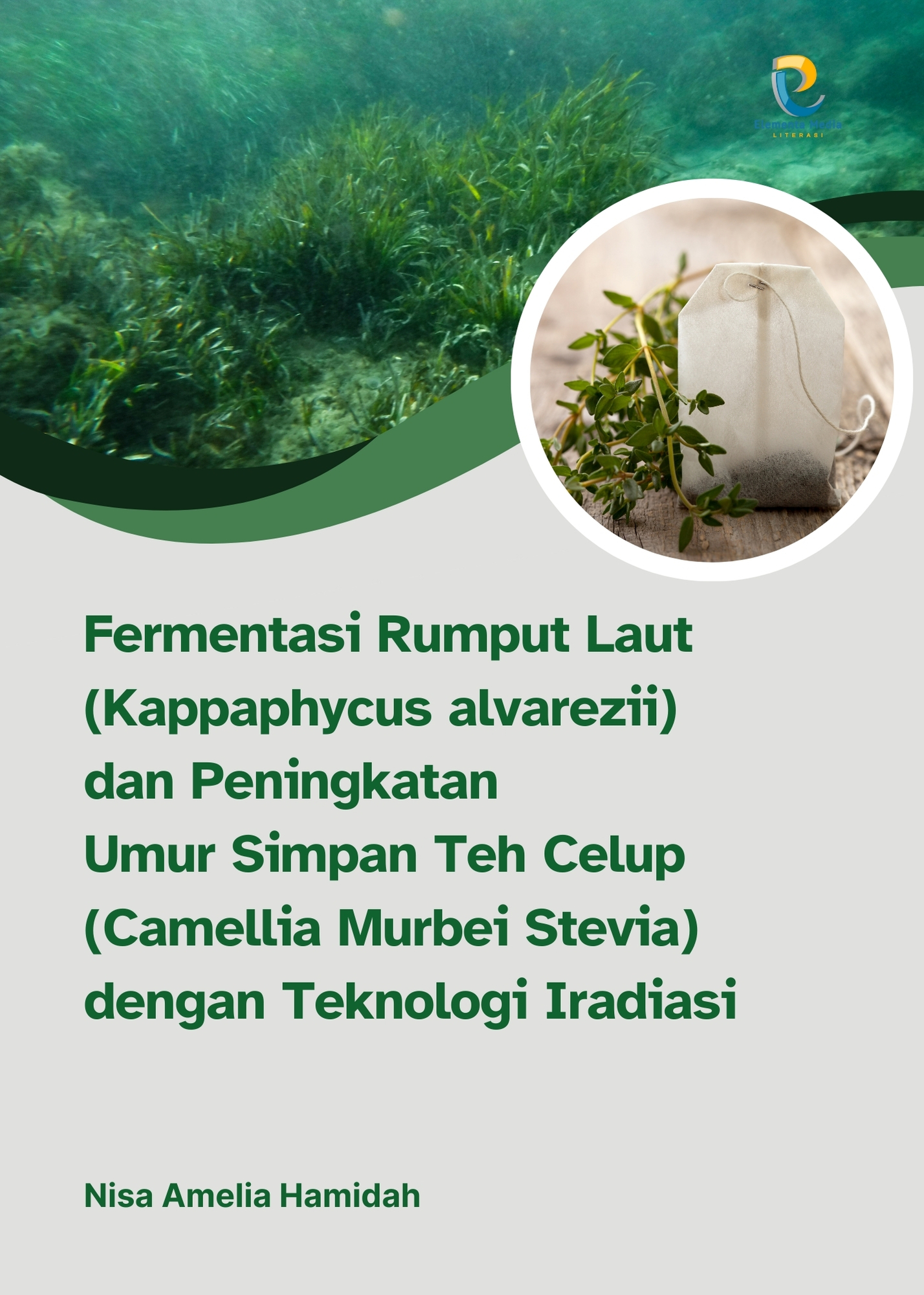 Fermentasi Rumput Laut (Kappaphycus alvarezii) dan Peningkatan Umur Simpan Teh Celup (Camellia Murbei Stevia) dengan Teknologi Iradiasi